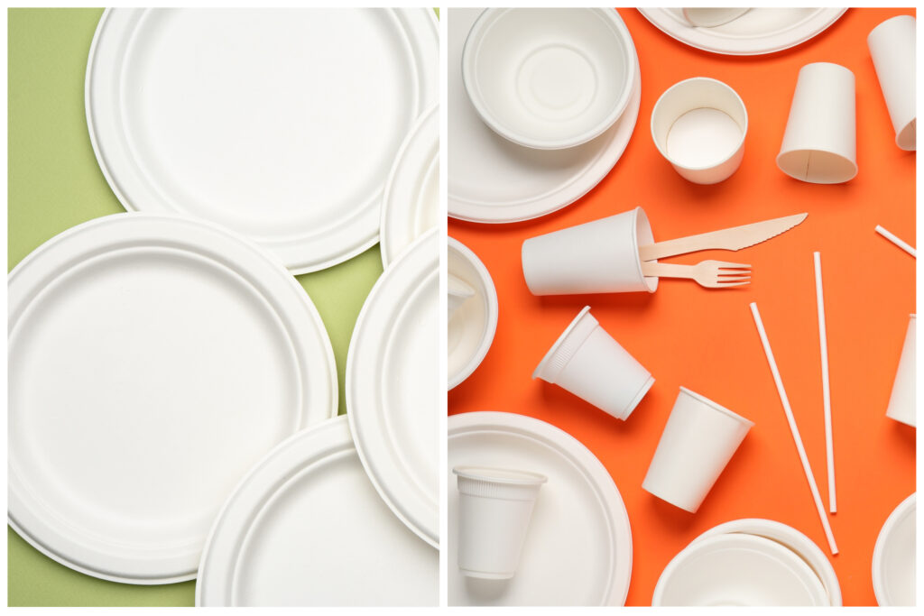 Piatti monouso compostabili vs. piatti monouso in plastica