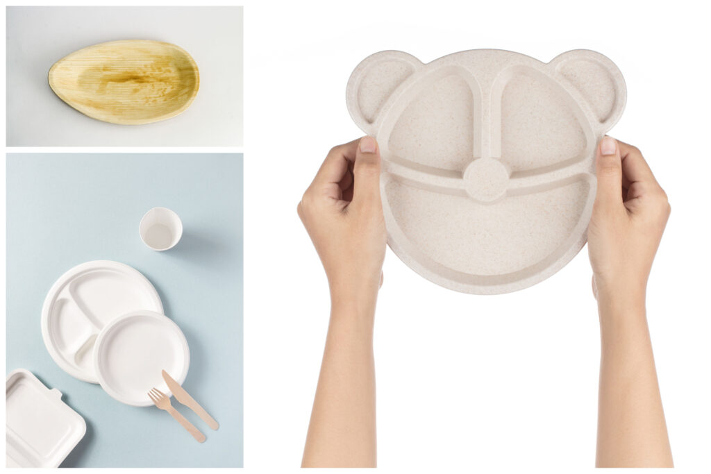 Piatti monouso compostabili vs. piatti monouso in plastica: una scelta responsabile