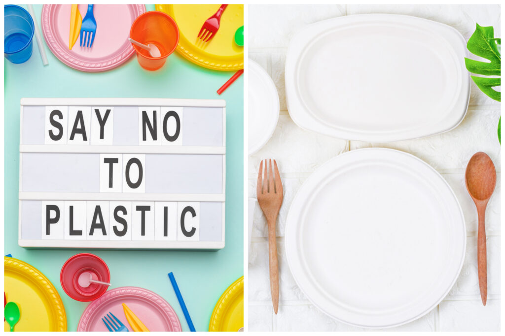 Piatti monouso in polpa di cellulosa vs. piatti monouso in plastica: un'alternativa resistente e eco-friendly